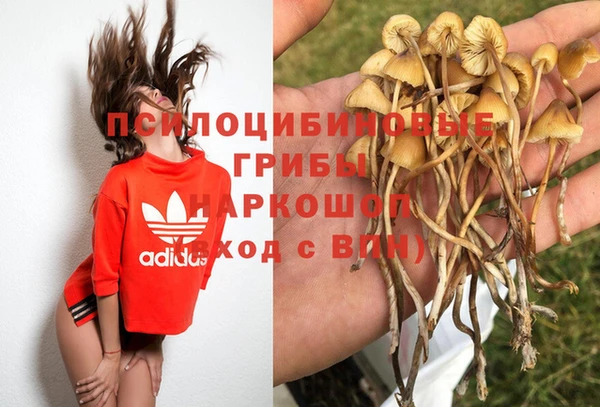 мдпв Белокуриха