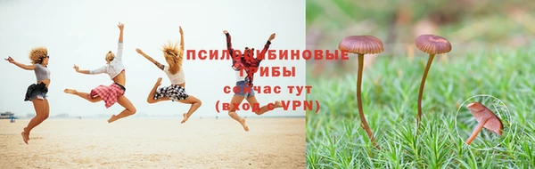 спайс Карталы