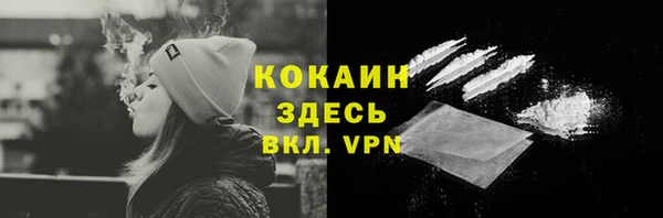 молекула духа Дмитровск