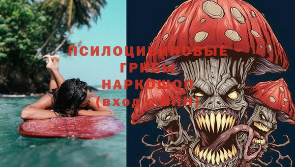 стаф Беломорск