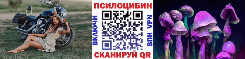 блэк спрут зеркало  Мезень  Псилоцибиновые грибы прущие грибы 